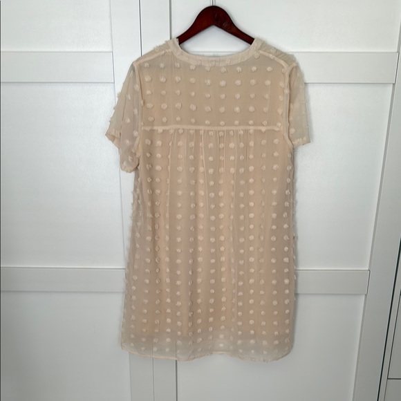 Elegant Cream Polka Dot Dress - Picture 7 of 8